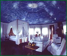 Ariau Tree Houses
