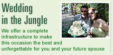 Wedding in the Jungle